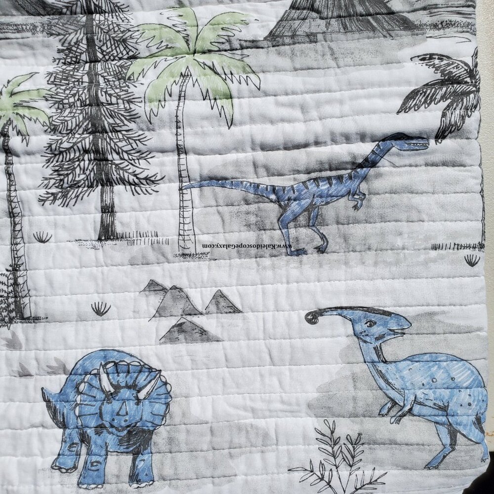 7 Piece Dinosaur Full Size Quilt ~ Sheets ~ Shams ~ Gray Blue Green ~ Dinosaurs - Picture 4 of 7